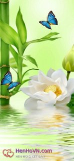 Ảnh 2 của Phuong888