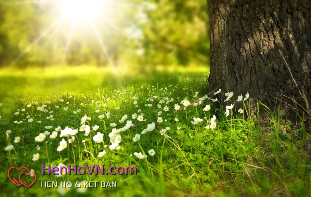 Ảnh đại diện của Song Hieu, 43 tuổi tại TP Hồ Chí Minh