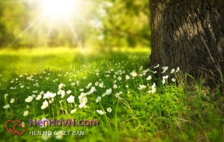 Hồ sơ hẹn hò của Song Hieu tại TP Hồ Chí Minh
