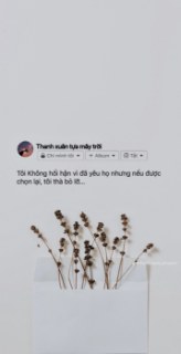 Thông