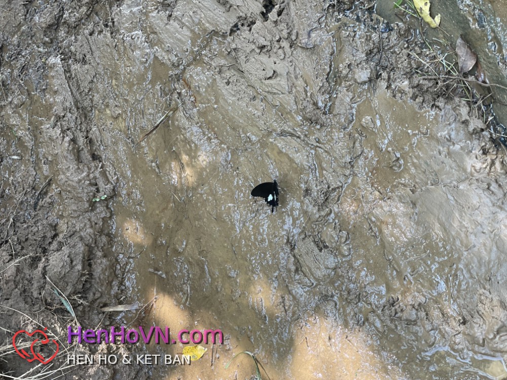 Ảnh đại diện của Bi Black, 25 tuổi tại TP Hồ Chí Minh