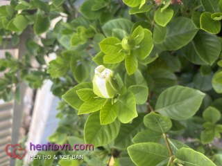 Ảnh 2 của Ngọc Miu