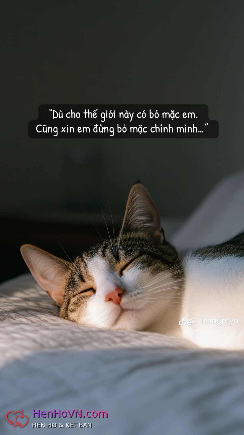 Ảnh đại diện của Nguyễn Thư, 29 tuổi tại TP Hồ Chí Minh