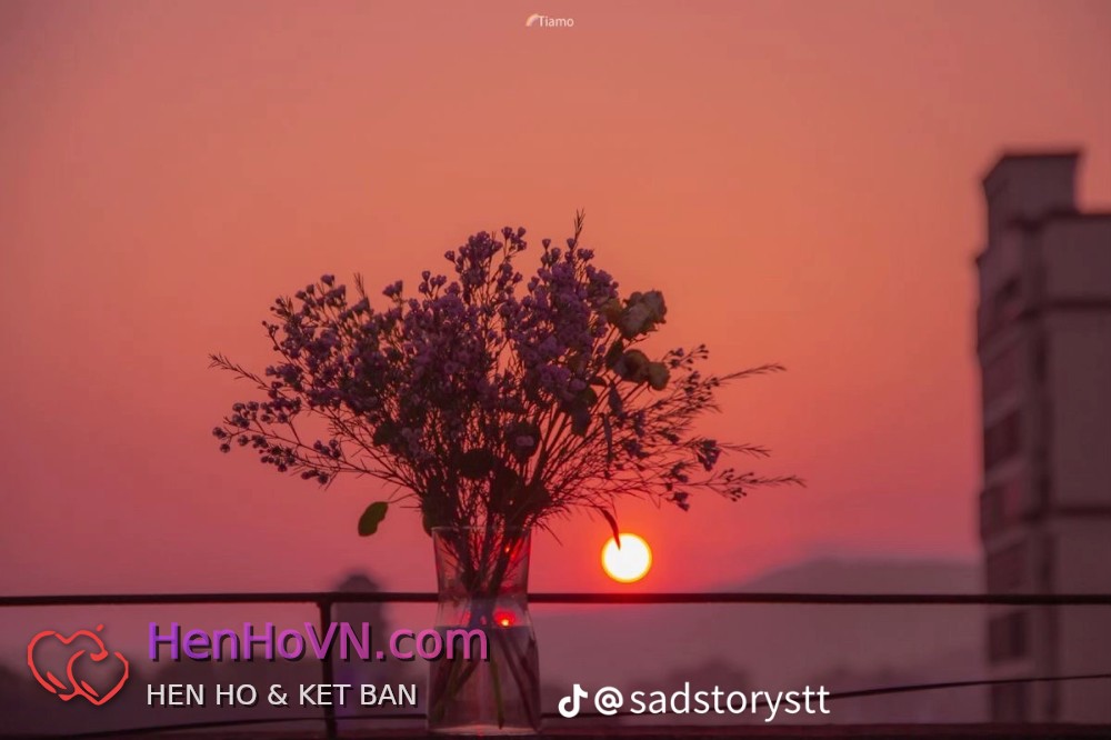 Ảnh đại diện của Thanh Le, 31 tuổi tại TP Hồ Chí Minh