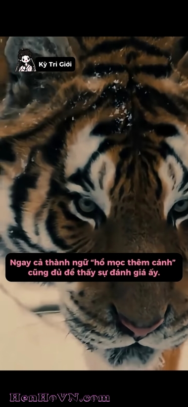 Ảnh đại diện của Tùng Nguyễn, 39 tuổi tại Hải Phòng