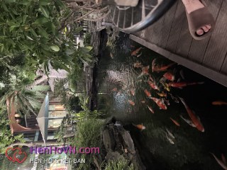Ảnh 4 của Tuấn