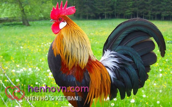 Ảnh đại diện của Tinh bơ vơ, 46 tuổi tại Hà Nội
