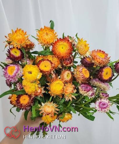 Ảnh đại diện của Tuấn tú, 45 tuổi tại Hà Nội