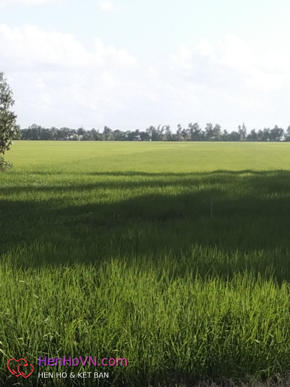 Ảnh đại diện của Minh Hoàng, 37 tuổi tại Cà Mau